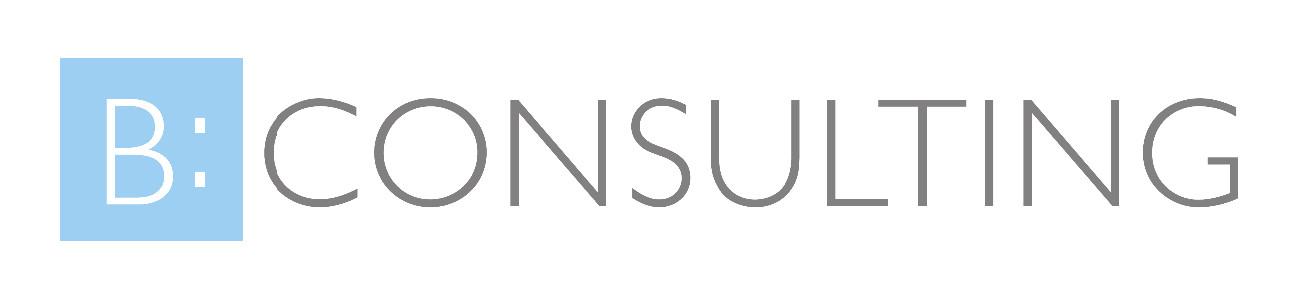 Logo Nad Skalkou Logo B:CONSULTING